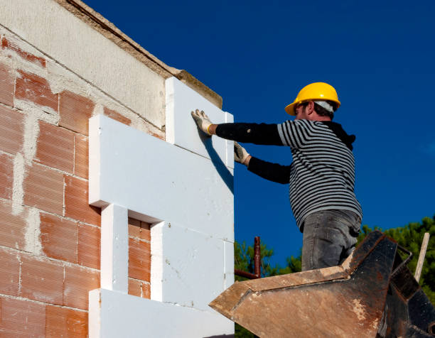 Best Eco-Friendly Insulation in Lake Sherwood, CA