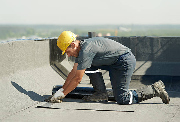 Types of Insulation We Offer in Lake Sherwood, CA