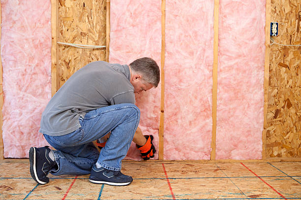 Best Energy Efficiency Insulation in Lake Sherwood, CA